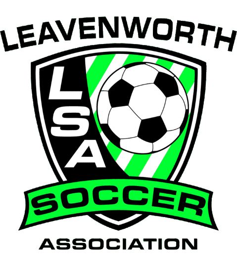LSA logo 2016_small